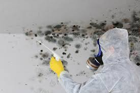 Best HVAC Mold Inspection and Cleaning  in Trinidad, CO